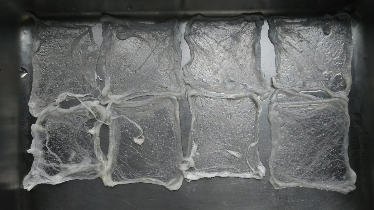 Nanocellulose applied to floss silk
