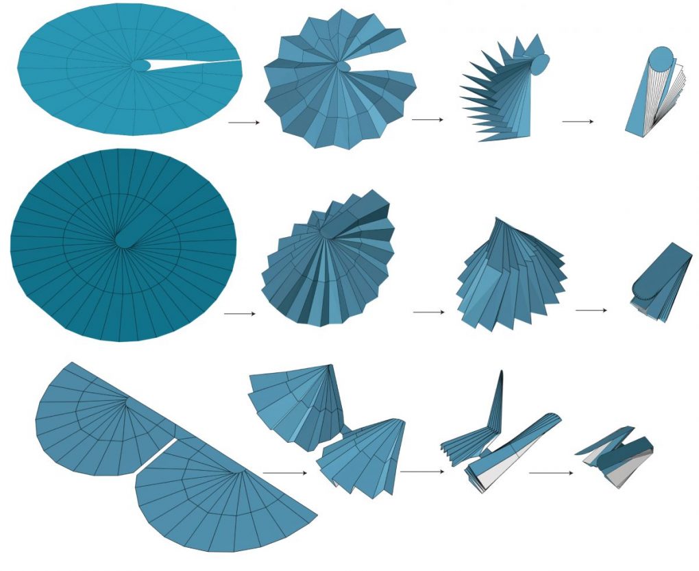 Examples of customized earwig-inspired fans made using the new design software. Above: two models of earwig fans for use in deployable structures such as antenna reflectors or umbrellas. Below: deployable wings for a micro air vehicle. Note the high compactness of the fans when fully folded. Credit: Kazuya Saito.